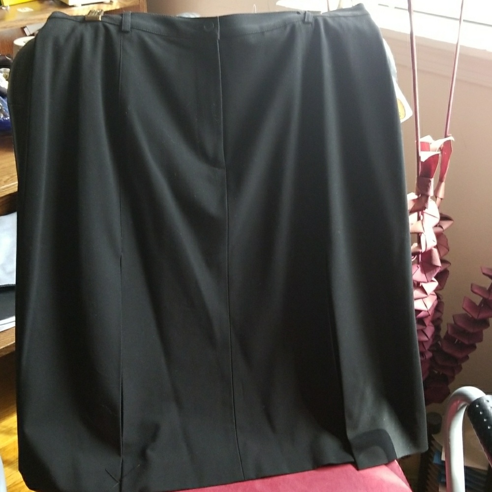 Skirt - Picture 2 of 2